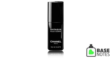 chanel antaeus 2019 site basenotes.net|Positive Reviews of Antaeus by Chanel .